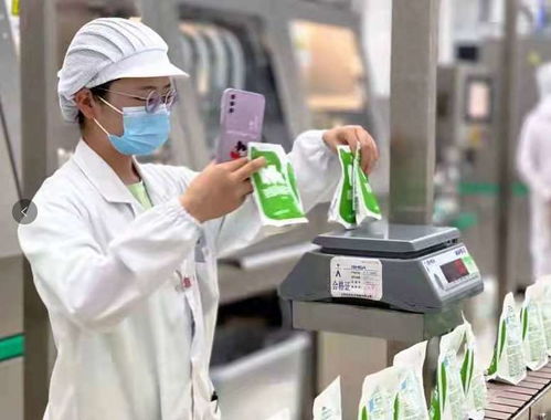 新疆天潤唐王城乳品公司在發(fā)展的高速路上飛奔