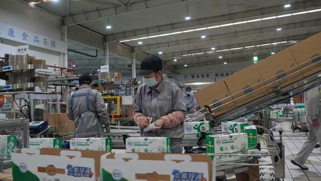寧夏吳忠 一流奶源地何以持穩(wěn) 奶瓶子