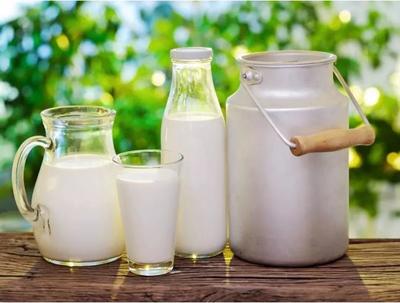 乳制品中的致病菌有哪些?如何解決致病菌超標(biāo)?
