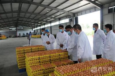 市復審辦檢查藍田縣、閻良區國家食品安全示范城市復審迎檢工作