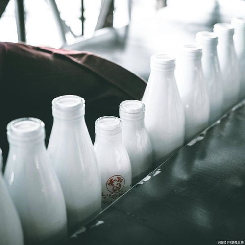 乳制品常見(jiàn)微生物指標(biāo)介紹及乳制品在生產(chǎn)中的微生物控制